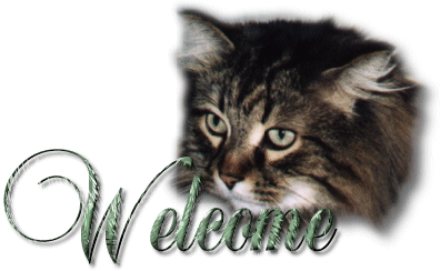 macska_welcome.gif